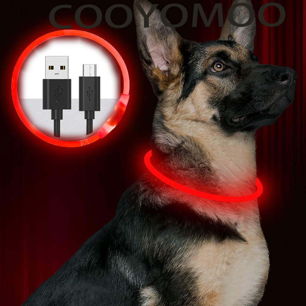 Silicone LED Dog Collar Rechar - đánh giá và giá Tech Dog Accessories