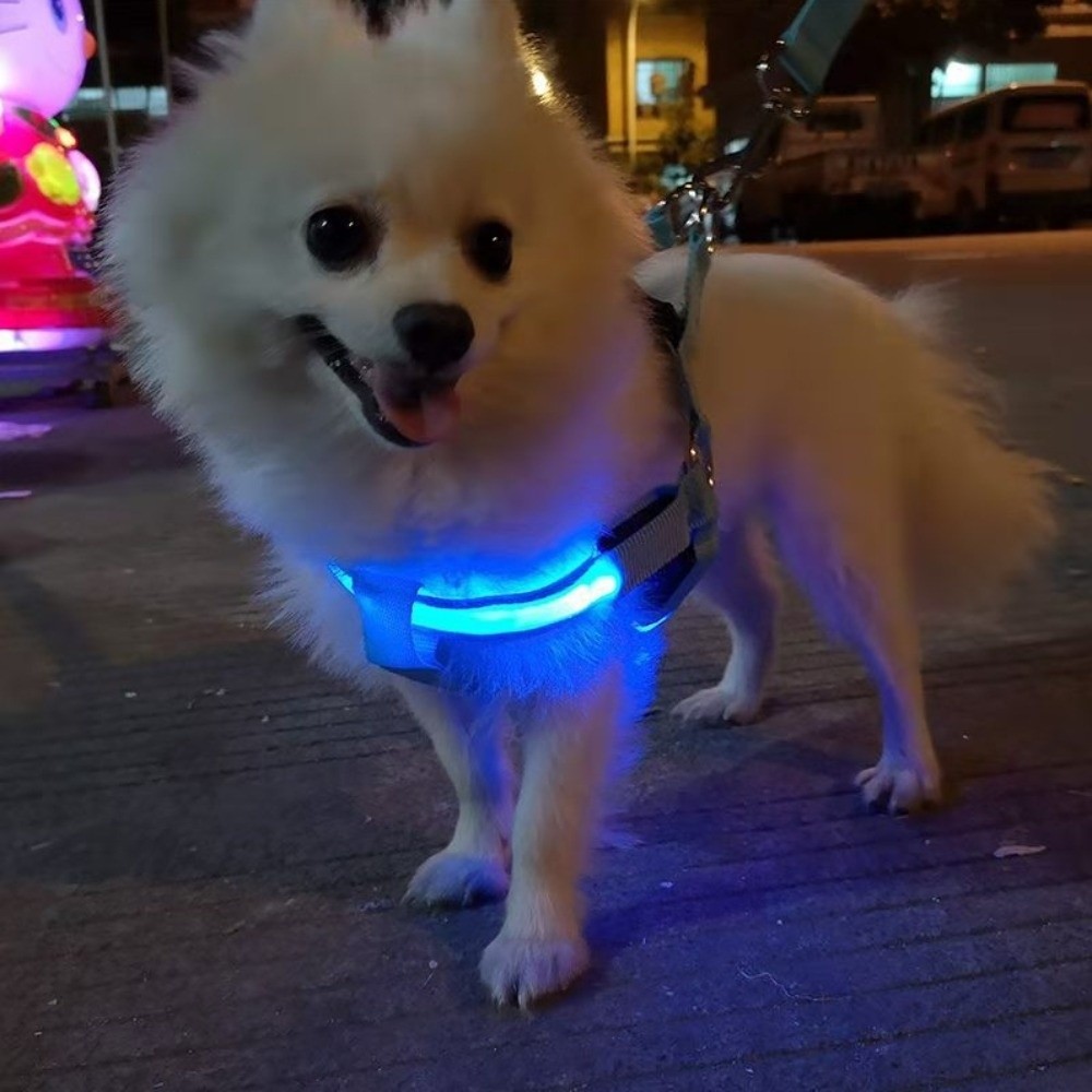 Breathable Light Up LED Dog Ha - đánh giá và giá Tech Dog Accessories