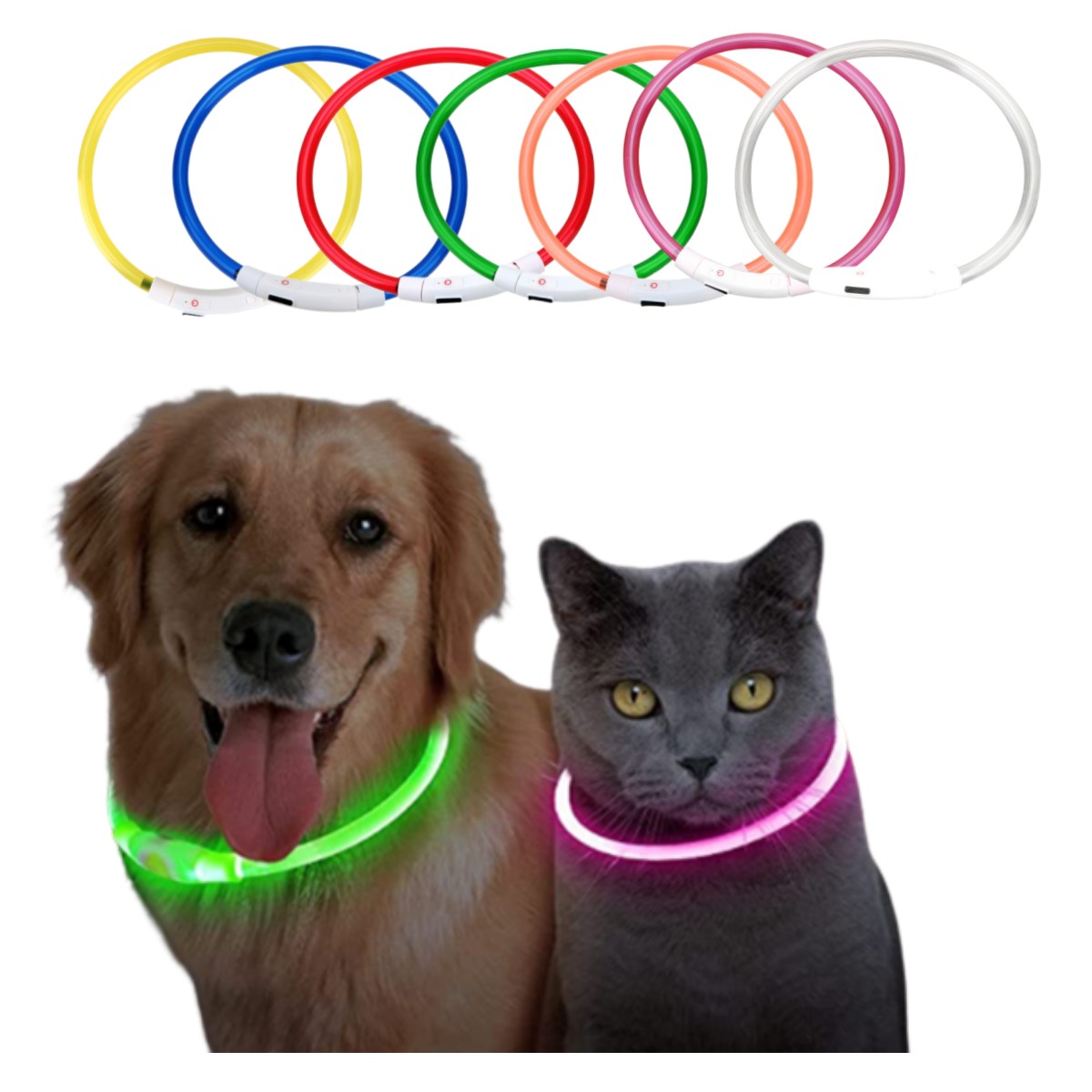 Led Light Dog Collar Detachabl - đánh giá và giá Tech Dog Accessories